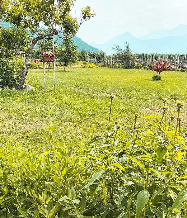 Agriturismo Dal Perotin-1